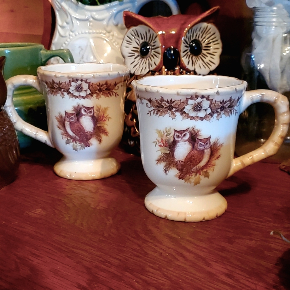 Retired Cracker Barrel Set of two Woodland Owls Mugs
